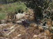 Satılır 12 sot torpaq Bilgəh