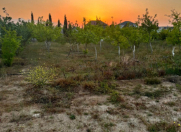 Satılır 18 sot torpaq Şüvəlan