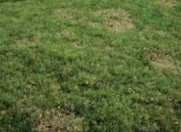 Satılır 6 sot torpaq Şüvəlan