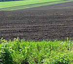 Satılır 103 sot torpaq Ucar