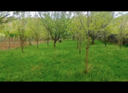 Satılır 12 sot torpaq Göygöl