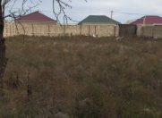 Satılır 10 sot torpaq Binə