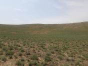 Satılır 7 sot torpaq Yeni Yasamal