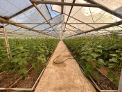 İcarəyə verilir 20 otaqlı 3500000 m2 obyekt Görədil