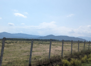 Satılır 250 sot torpaq Lənkəran