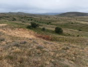 Satılır 6000 sot torpaq Şabran