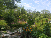 İcarəyə verilir 2 otaqlı 20 m2 həyət evi Şamaxı