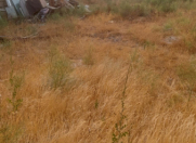 Satılır 3 sot torpaq Biləcəri