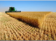 Satılır 600 sot torpaq Ağsu