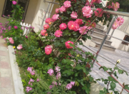 Satılır 6 otaqlı 220 m2 həyət evi Köhnə Günəşli