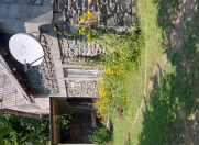 İcarəyə verilir 2 otaqlı 60 m2 bağ evi Zaqatala