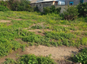 Satılır 5 sot torpaq Gəncə