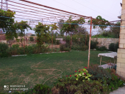 Satılır 5 otaqlı 1600 m2 həyət evi Salyan