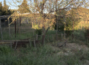 Satılır 12 sot torpaq Bilgəh