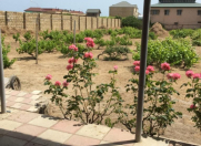 Satılır 21 sot torpaq Novxanı