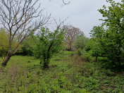 Satılır 2 otaqlı 22 m2 həyət evi Xaçmaz