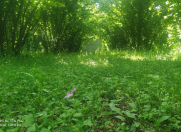 Satılır 40 sot torpaq Oğuz