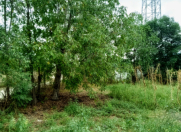 Satılır 4 sot torpaq Qusar