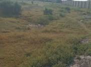 Satılır 12 sot torpaq Yevlax