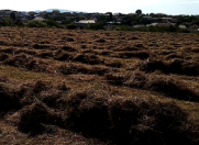 Satılır 42 sot torpaq Gəncə