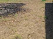 Satılır 7 sot torpaq Sumqayıt