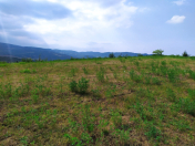 Satılır 2.5 sot torpaq Quba