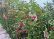 Satılır 4 otaqlı 146 m2 həyət evi Qəbələ