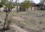 Satılır 6 sot torpaq Şirvan