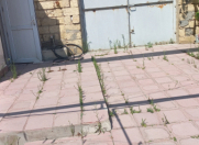 Satılır 2 otaqlı 65 m2 həyət evi Rəsulzadə