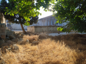 Satılır 5.7 sot torpaq Şüvəlan