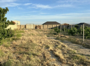 Satılır 26 sot torpaq Novxanı