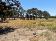 Satılır 100 sot torpaq Xəzər r.