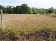 Satılır 82 sot torpaq Xaçmaz