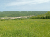 Satılır 200 sot torpaq Qusar