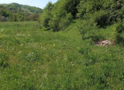 Satılır 6 sot torpaq Quba