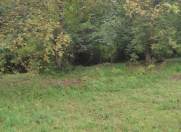 Satılır 22 sot torpaq İsmayıllı