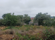 Satılır 7 sot torpaq Qusar