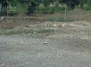 Satılır 4 sot torpaq Gəncə