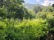 Satılır 11 sot torpaq İsmayıllı