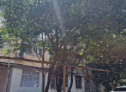 Satılır 3 otaqlı 65 m2 köhnə tikili Elmlər Akademiyası m.