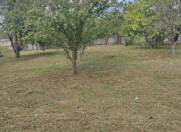 Satılır 10 sot torpaq Qəbələ