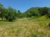 Satılır 30 sot torpaq İsmayıllı