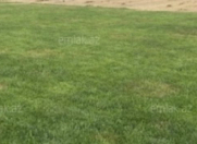 Satılır 3 sot torpaq Hövsan