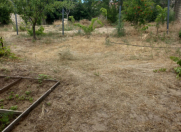 Satılır 12 sot torpaq Novxanı