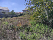 Satılır 5 sot torpaq Xaçmaz