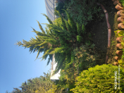 Satılır 3 otaqlı 54 m2 bağ evi Bilgəh