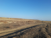 Satılır 1000 sot torpaq Perekeşkül