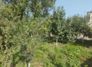 Satılır 4 sot torpaq Yeni Yasamal