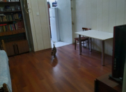 Satılır 2 otaqlı 40 m2 köhnə tikili Fontanlar bağı