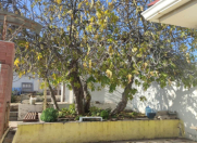 Satılır 3 otaqlı 80 m2 bağ evi Bilgəh